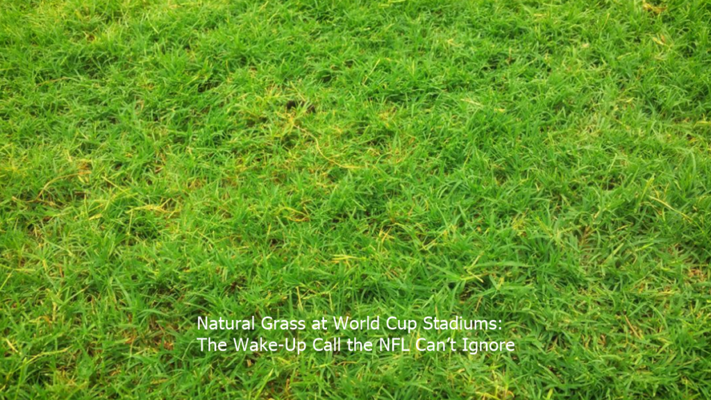 Natural Grass at World Cup Stadiums